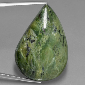 Green Serpentine 47.9 Carat Pear from Afghanistan Gemstone