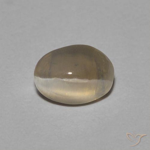 Loose Sillimanite Cat's Eye for Sale - In Stock, ready to Ship | G...