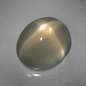 Cream Star Moonstone 6.1 Carat Oval from India Gemstone