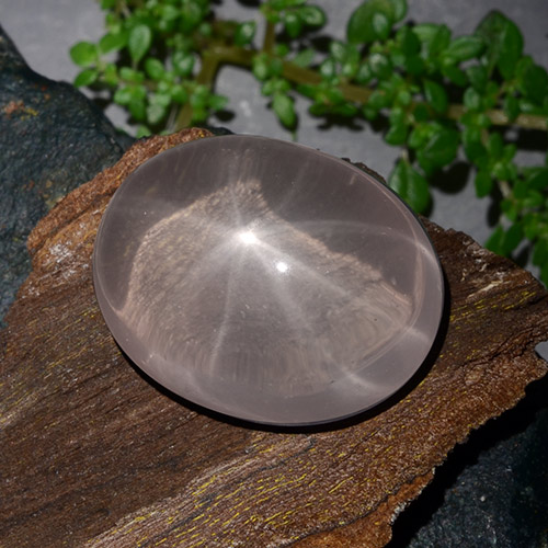 薄いコーラルピンク スターローズクォーツ 宝石 - 35.6ct オーバル カボション (ID: 483691)