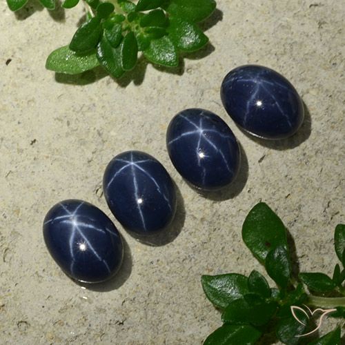 Azul oscuro Zafiro Estrella Gema - 1.1ct Cabujón Óvalo (ID: 490174)