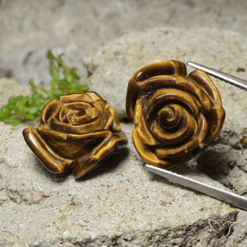 Brun pain d'épices Oeil de Tigre gemme - 11.8ct Rose gravée avec trou demi-percé (ID: 323445)