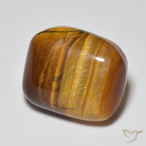 Loose Tiger's Eye Gemstones for Sale - In Stock, ready to Ship | GemSelect