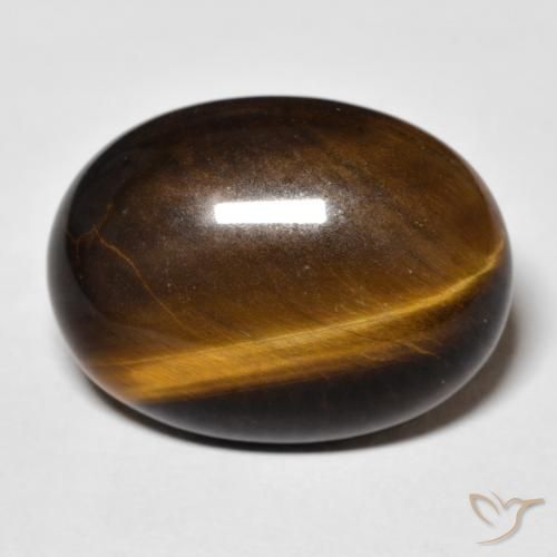 Shop tigers online eye