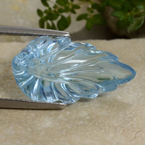 21 x 11.7mm Carved Leaf Blue Topaz from Brazil, Weight of 14.8ct, Natural irradiated gemstone in Transparent Clarity, 1pc Topaz - the Color is Baby Blue, Mohs Hardness of 8 suitable for daily wear jewelry, Symbolizes Good Health, Photo A