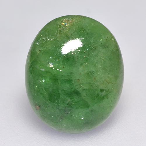 Loose Tsavorite Garnet for Sale - In Stock, ready to Ship | GemSelect