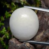 thumb image of 21ct Oval Cabochon Grayish White Jadeite (ID: 481632)